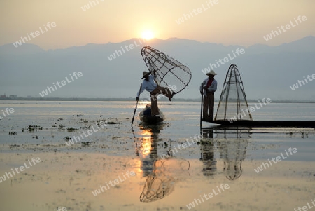 Fishermen at sunrise in the Landscape on the Inle Lake in the Shan State in the east of Myanmar in Southeastasia.