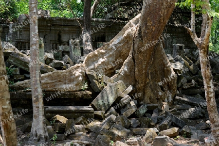 The Tempel Ruin of  Beng Mealea 32 Km north of in the Temple City of Angkor near the City of Siem Riep in the west of Cambodia.