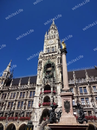 Rathaus in M?nchen