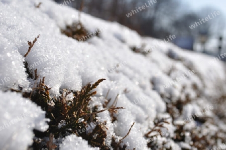 Vom Schnee Markiert 