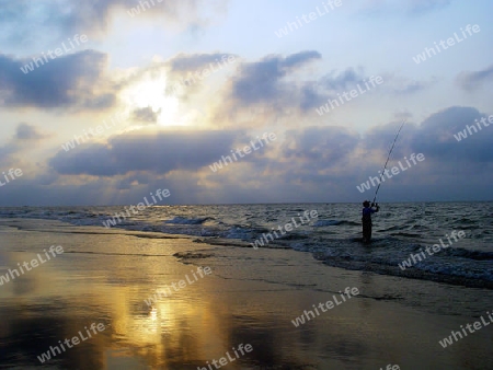 Fishing at sunset