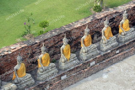 The Wat Yai Chai Mongkol Temple in City of Ayutthaya in the north of Bangkok in Thailand, Southeastasia.