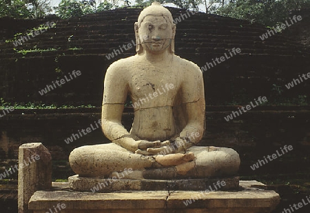 Buddha in Meditation