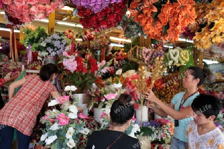 Der Chatuchak Wochenendmarkt im norden von Bangkok der Hauptstadt von Thailand in Suedostasien.