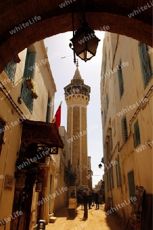 Afrika, Nordafrika, Tunesien, Tunis
Eine Moschee in der Medina oder  Altstadt der Tunesischen Hauptstadt Tunis.

