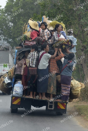 People on a pick-up Taxi near the town of Nyaungshwe at the Inle Lake in the Shan State in the east of Myanmar in Southeastasia.