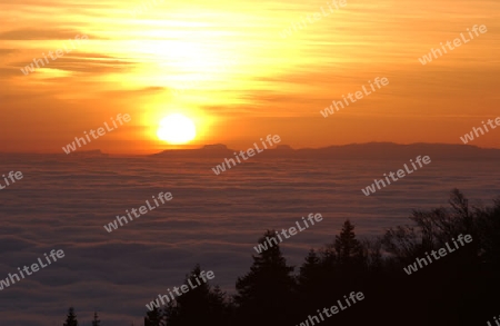 Abendstimmung auf dem Weissenstein