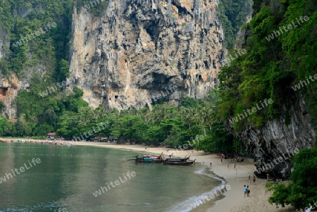 The Hat Tom Sai Beach at Railay near Ao Nang outside of the City of Krabi on the Andaman Sea in the south of Thailand. 