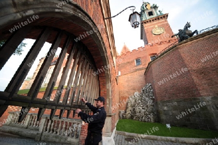 Das Koenigsschloss auf dem Huegel Wawel in der Altstadt von Krakau im sueden von Polen. 