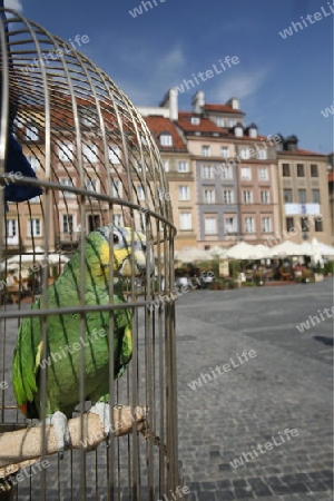 The Old Town in the City of Warsaw in Poland, East Europe.