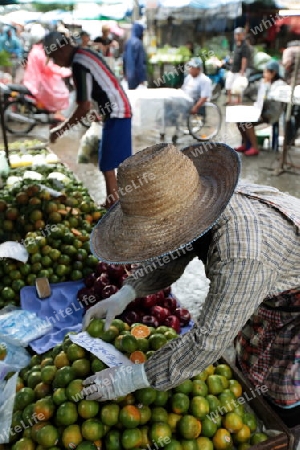 Menschen auf dem Grossen Lebensmittelmarkt von Talat Warorot in Chiang Mai im Norden von Thailand.