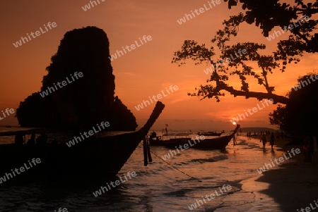 The Hat Phra Nang Beach at Railay near Ao Nang outside of the City of Krabi on the Andaman Sea in the south of Thailand. 