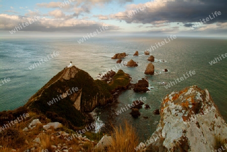 Nugget Point im Abendlicht