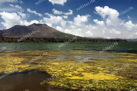 Asien, Suedost, Indonesien, Bali, Insel, Batursee, See, Lake, Gunung Batur, Berg Batur, Vulkan, Kratersee, Landschaft, Kedisan,    (Urs Flueeler) 