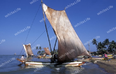 Ein Strand mit einem Segelboot in Negombo im westen von Sri Lanka in Asien.