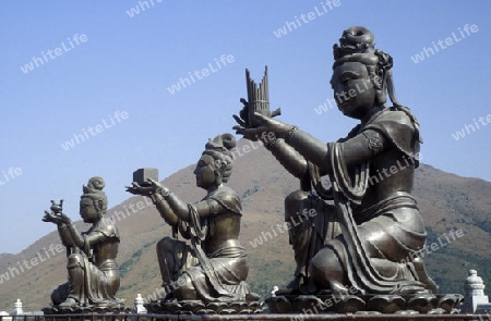 The Giant Buddha on the Island Lantau in Hong Kong in the south of China in Asia.