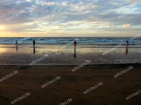 Beachwalker