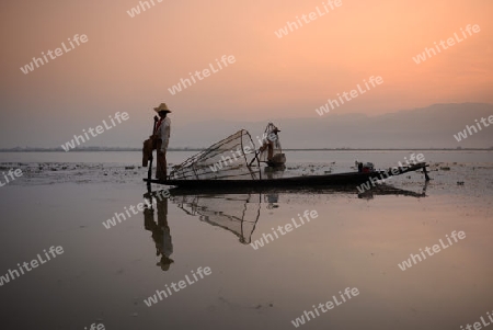 Fishermen at sunrise in the Landscape on the Inle Lake in the Shan State in the east of Myanmar in Southeastasia.