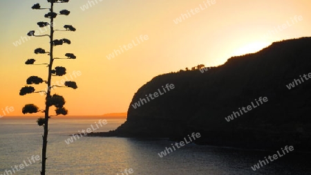 Sonnenuntergang Sao Miguel, Azoren