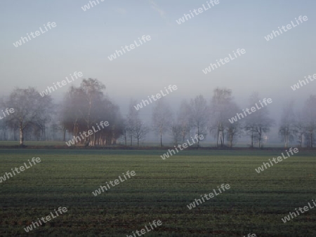 Sonnenaufgang im Herbst