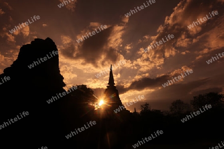 Der Wat Chang Lom im Si Satchanalai-Chaliang Historical Park rund 50 Km von Sukhothai in der Provinz Sukhothai im Norden von Thailand in Suedostasien.