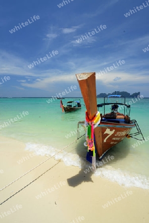 A Beach on the Island of Ko PhiPhi on Ko Phi Phi Island outside of the City of Krabi on the Andaman Sea in the south of Thailand. 