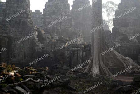 The Temple of  Banteay Kdei in the Temple City of Angkor near the City of Siem Riep in the west of Cambodia.