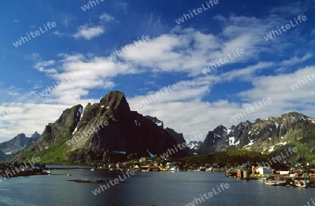 Reine