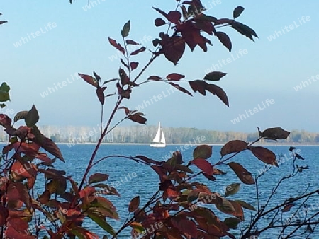 Lake Ontario/Toronto Island