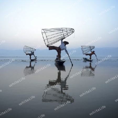 Fishermen at sunrise in the Landscape on the Inle Lake in the Shan State in the east of Myanmar in Southeastasia.