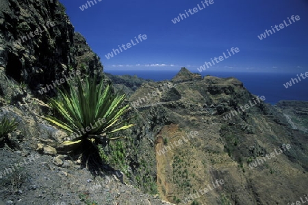 the landscape near the village Ponta do Sol near Ribeira Grande on the Island of Santo Antao in Cape Berde in the Atlantic Ocean in Africa.