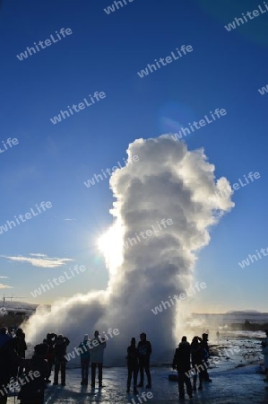 Geysir 