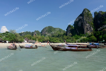 The Hat Railay Leh Beach at Railay near Ao Nang outside of the City of Krabi on the Andaman Sea in the south of Thailand. 