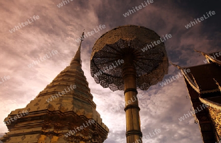 Der Chedi der Tempel Anlage des Wat Phra That Doi Suthep bei Chiang Mai in der Provinz Chiang Mai im Norden von Thailand in Suedostasien.