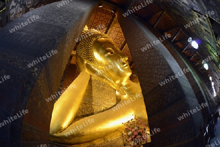 Der Liegende Buddha in der Tempelanlage des Wat Pho in der Hauptstadt Bangkok von Thailand in Suedostasien.