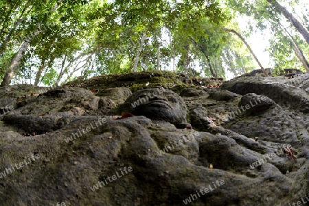 The Tempel Ruin of  Kbal Spean 50 Km northeast of in the Temple City of Angkor near the City of Siem Riep in the west of Cambodia.