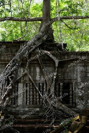 The Tempel Ruin of  Beng Mealea 32 Km north of in the Temple City of Angkor near the City of Siem Riep in the west of Cambodia.