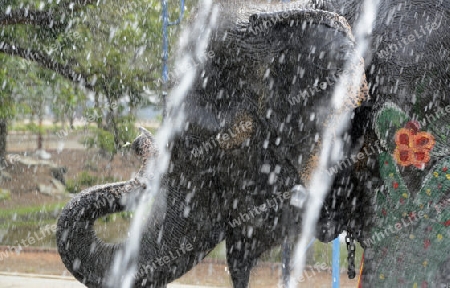 Das Songkran Fest oder Wasserfest zum Thailaendischen Neujahr ist im vollem Gange in Ayutthaya noerdlich von Bangkok in Thailand in Suedostasien.  