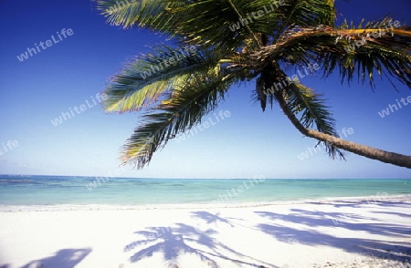 Ein Traumstrand in Bwejuu im osten der Insel Zanzibar im Indischen Ozean in Tansania in Afrika.