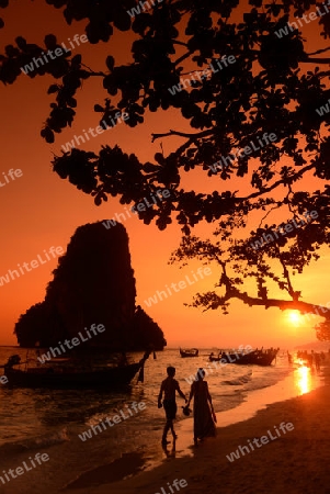 The Hat Phra Nang Beach at Railay near Ao Nang outside of the City of Krabi on the Andaman Sea in the south of Thailand. 