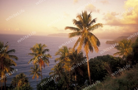 the landscape on the coast of the village Moya on the Island of Anjouan on the Comoros Ilands in the Indian Ocean in Africa.   