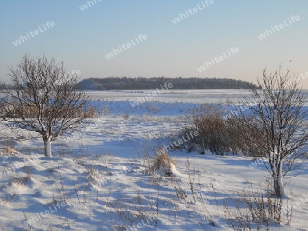 Winterlandschaft