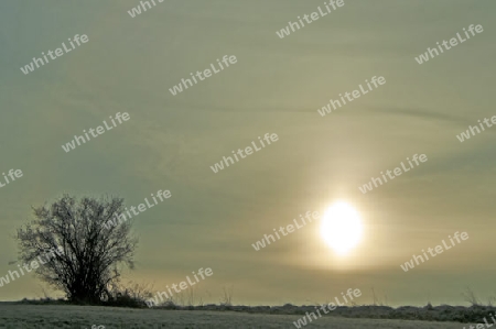 Sonnenaufgang im Winter