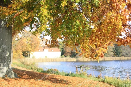 Im Herbst am Heiligen See