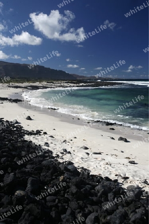 the Beach  Bajo de los Sables near the village of  Playa de la Canteria on the Island of Lanzarote on the Canary Islands of Spain in the Atlantic Ocean. on the Island of Lanzarote on the Canary Islands of Spain in the Atlantic Ocean.
