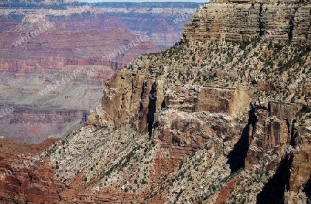 Gran Canyon 5