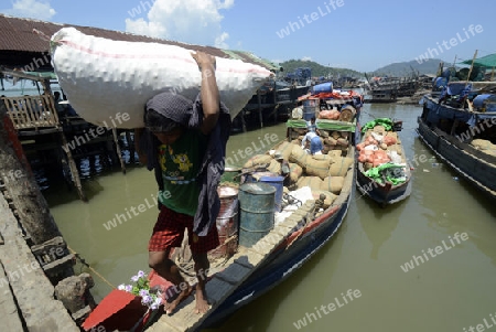 people at the Pier in the city of Myeik in the south in Myanmar in Southeastasia.