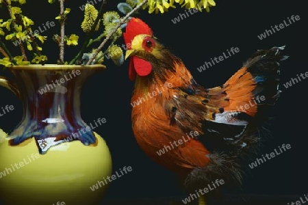 Ein Huhn als Dekoration. In der Mitte eine gelbe Vase mit einem Strauss Weide und Forsythie.