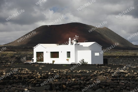 a House in the landscape of volcanic Hills on the Island of Lanzarote on the Canary Islands of Spain in the Atlantic Ocean.
