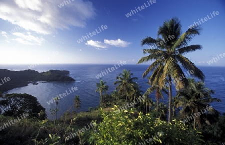 the landscape on the coast of the village Moya on the Island of Anjouan on the Comoros Ilands in the Indian Ocean in Africa.   